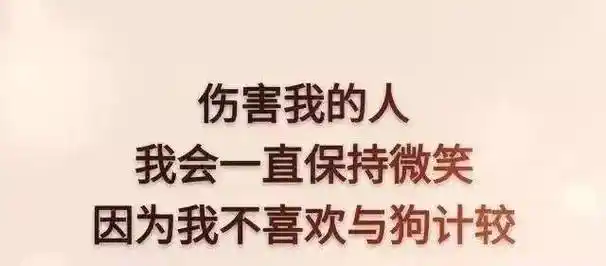 伤害我的人,我会一直保持微笑,因为我不喜欢与狗计较.