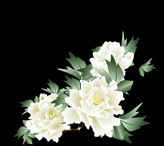 【gif-动图】— (牡丹花开)