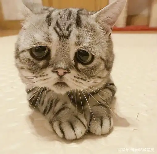 那,受不住委屈到底要多受委屈变坚强,还是少受委屈变风格?