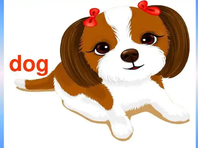 年级上unit4 we love animals复习课件答案ppt 小学英语教学课件 dog