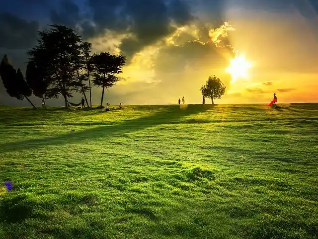 天边有棵菩提树(二)5张