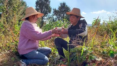 《乡村野光》视频圈子-《乡村野光》演员及剧情热门动态-爱奇艺泡泡