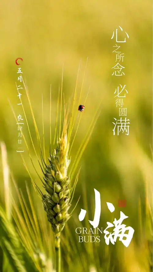 小满图片配图高清唯美大全,小满文案祝福语句子