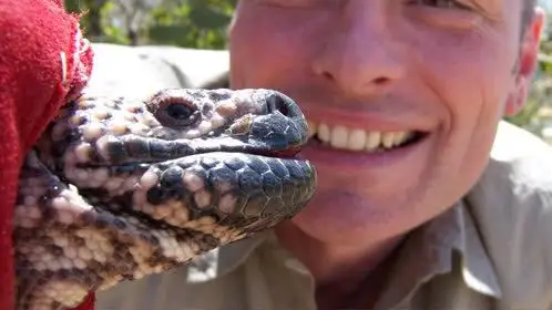 奇兵剧集巴西牙签鱼趁男子小便进入体内狂咬探秘墨西哥"食人蝇"工厂