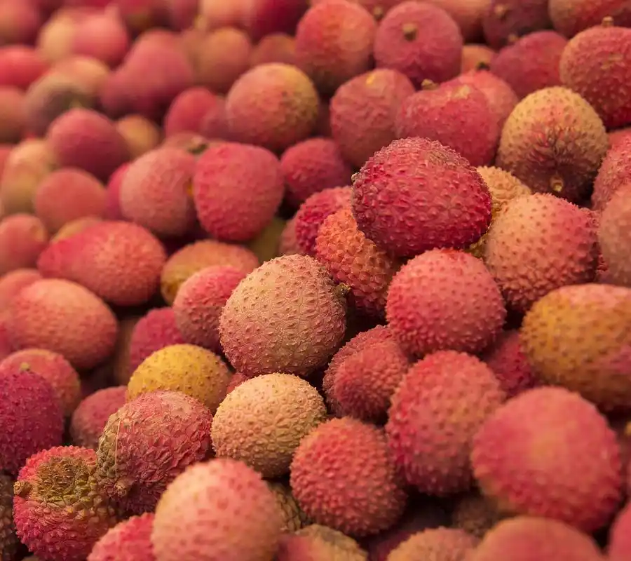 新鲜可口的水果高清壁纸2160×1920