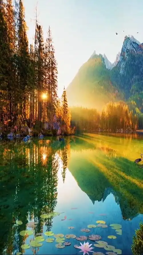 治愈风景欣赏:清晨的霞光无比灿烂,扫除你一切的忧