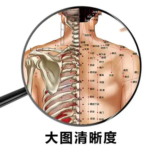 中医养生人体经络穴位图病症图解挂图装饰画按摩针灸艾灸拔罐海报