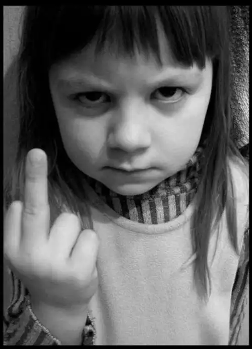 有个手机壁纸～是一个小女孩的黑白色的～是竖中指还是噘嘴来着～忘了
