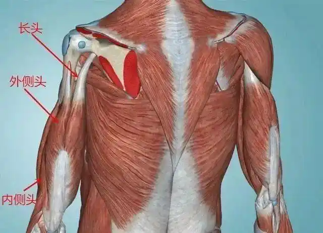 老实说这是我琢磨出来的一个动作,我都不知道这个动作该起什么名字,但