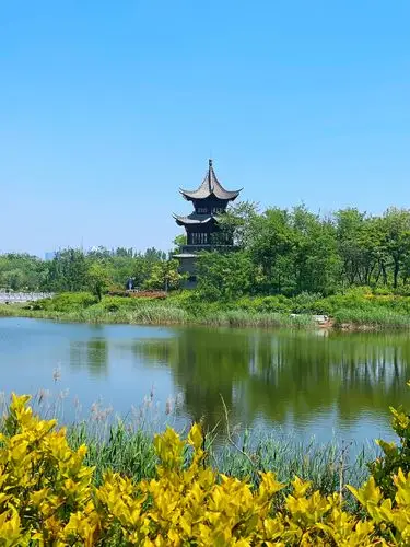 【首发】海西湿地公园掠影