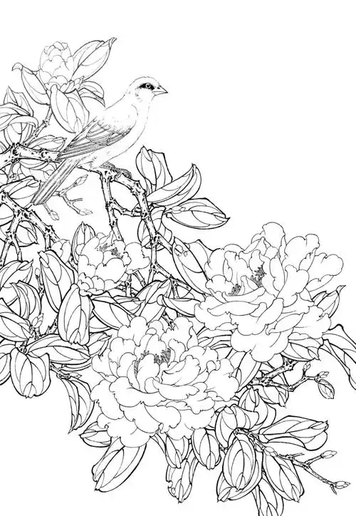白描花鸟