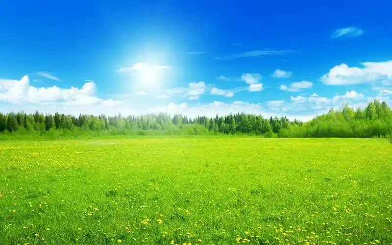 护眼绿色草原风景电脑桌面主题壁纸(一)