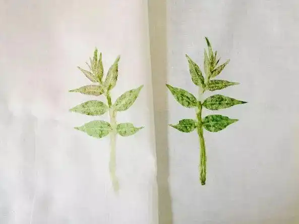 3种简单植物染,制作属于你的美好