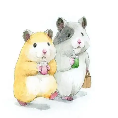 动漫小仓鼠的兄妹头像 动漫头像图片大全 -【爱个性】