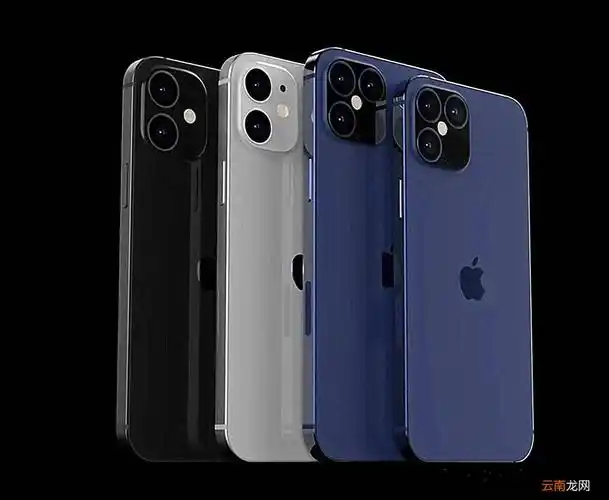 苹果12四个型号图片苹果12四个型号