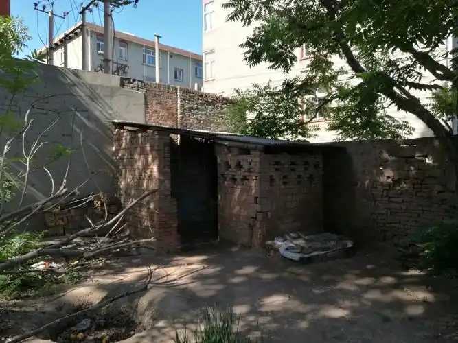 这是厕所,也是院子的西南角.