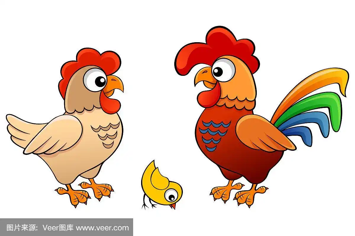 母鸡,公鸡和小鸡的矢量插图