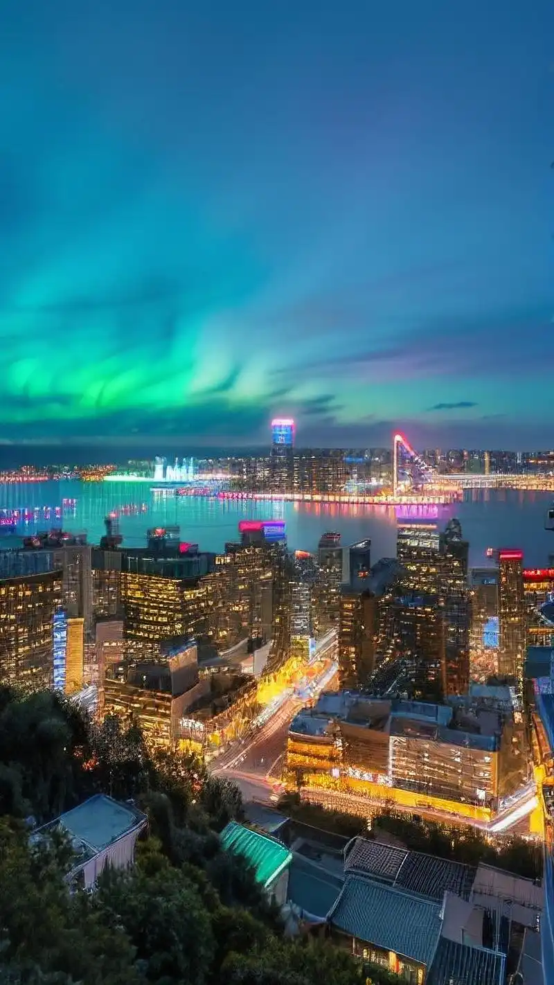 91竖屏平板城市夜景壁纸精选97