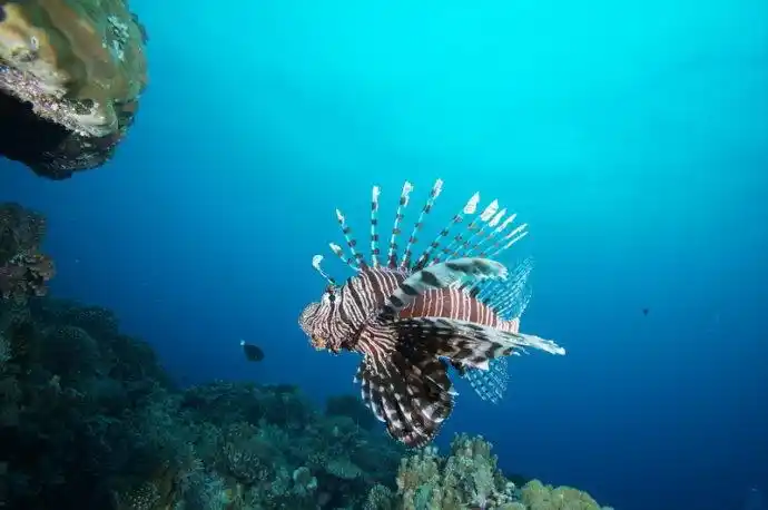 《中国国家地理》杂志十期"海洋"专辑 现在的弹丸礁