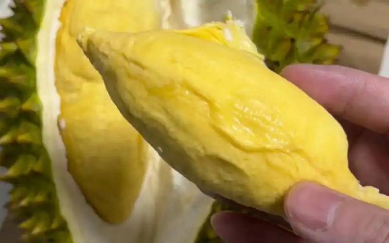 开了个朴朴的越南干尧榴莲