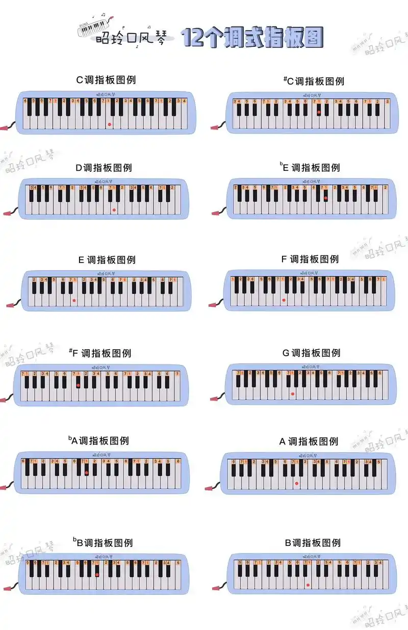 口风琴中的十二个调式音阶指法图.