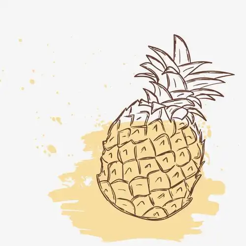 手绘线条菠萝水果