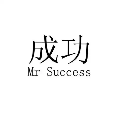 em>成功 /em> mr success