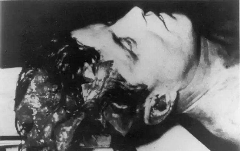 肯尼迪被"一枪爆头",遇刺前夕英国接到神秘电话,图5是嫌疑人_调查