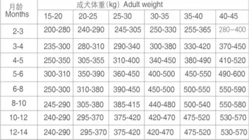 博美食量对照表