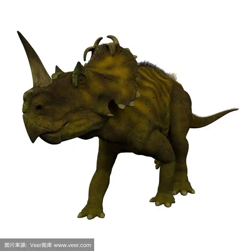 尖角龙恐龙在白色