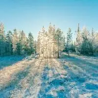 冬天有雪有阳光灿烂的头像_微信头像图片大全