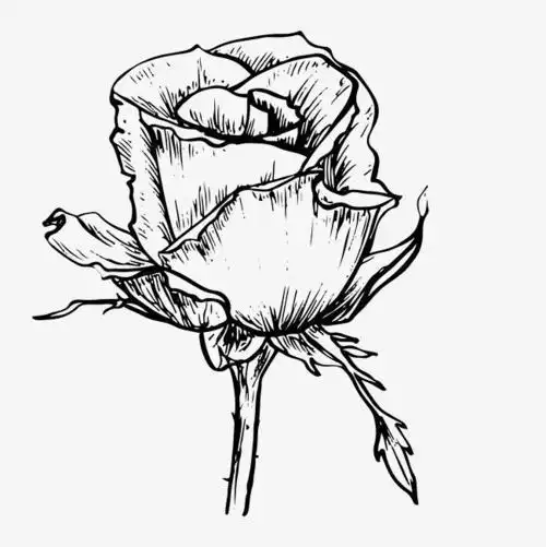 彼岸花简笔画铅笔画图片简笔画枯萎凋谢的花凋谢的牵牛花简笔画枯萎的