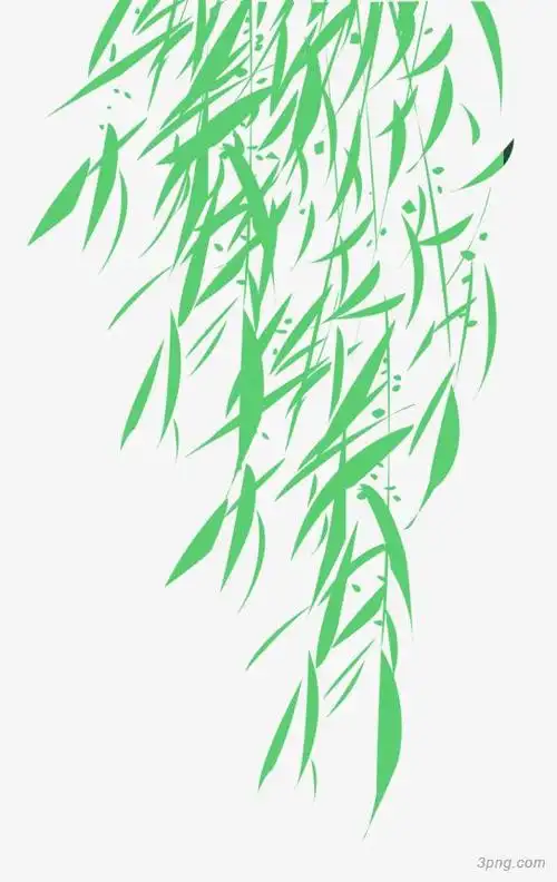 手绘绿色垂柳png素材透明免抠图片-动植人物