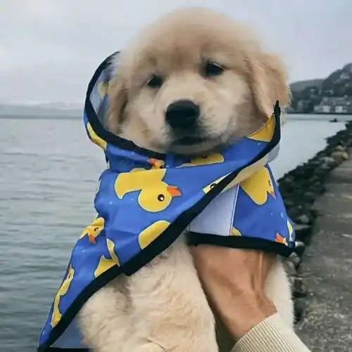 头像丨男生爱情不需要语言