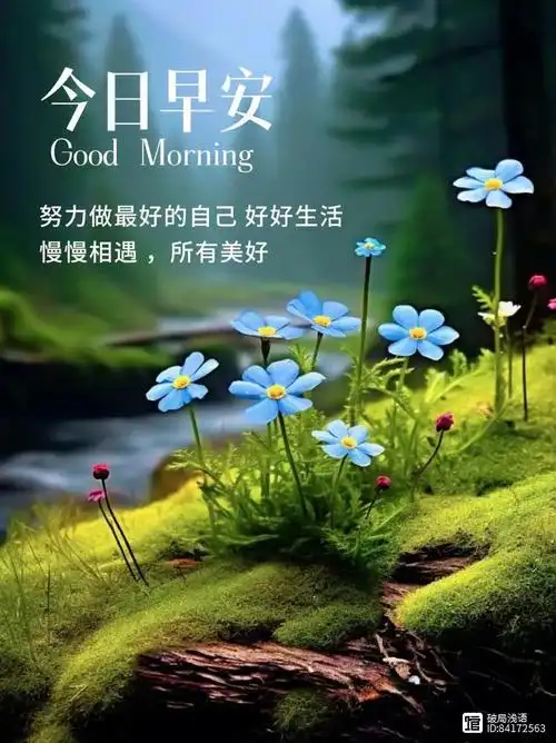 早安心语:愿你心如晨露,目及星河,有人牵挂,有人守护