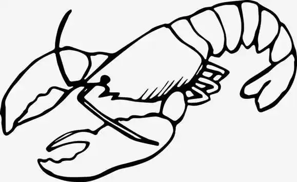 龙虾手绘大龙虾澳洲龙虾手绘小龙虾卡通手绘手绘卡通小人图片手绘人物