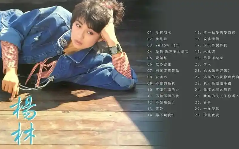 四大玉女歌手 高品位 无损音质 杨林经典歌曲28首