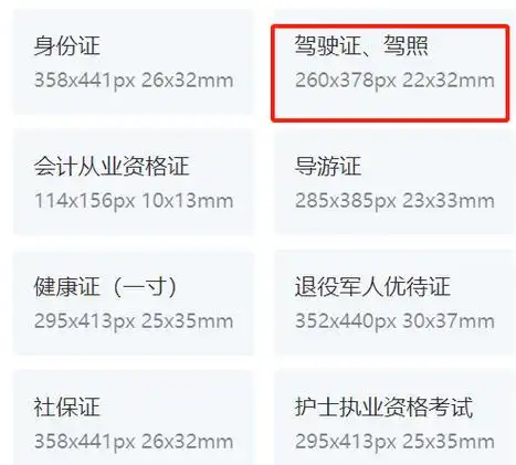 电子驾照照片要求_交管_驾驶证_申请人