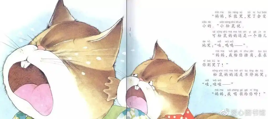 《松鼠的眼泪》