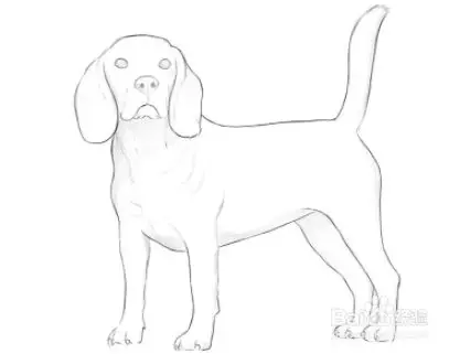 如何画一只狗