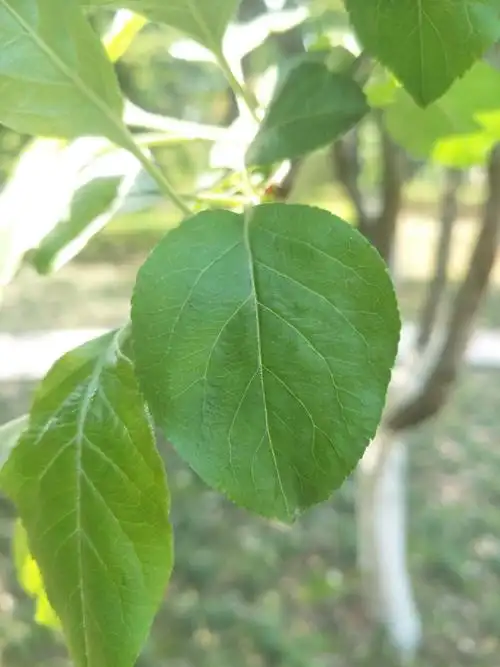 我们和春天有约