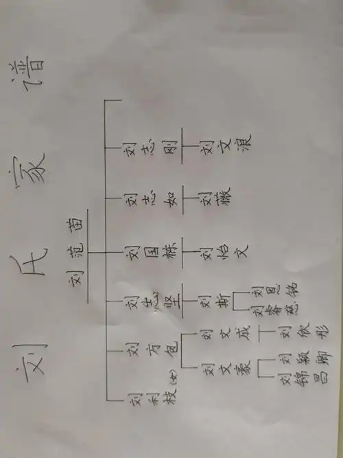 爷爷身下的家庭关系图:五儿一女,大家族.