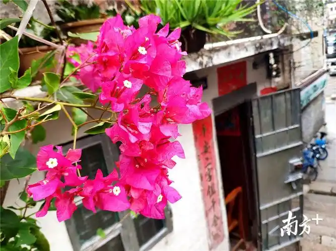 视频墟顶街江门的城市原点现在还热闹吗