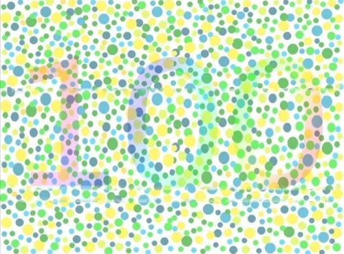 2021版色盲检测图,倘若有三张看不清,那么就别再浪费报考费