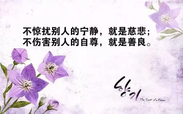 语录经典短句说说【情感语录经典短句说说】