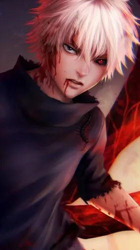 分享壁纸金木研小天使