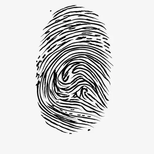 关键词 : 指纹,黑色,不规则图形