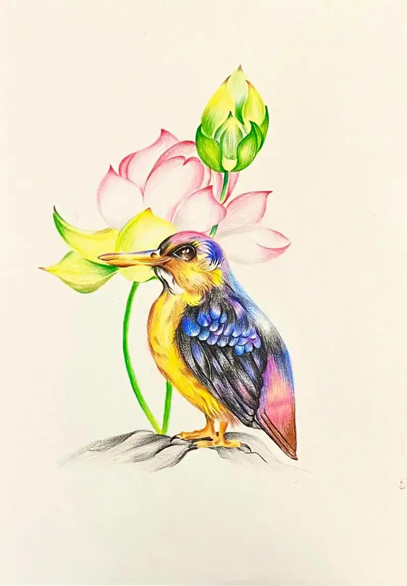 翠鸟 #花鸟画   #彩铅手绘 @抖音小助 - 抖音