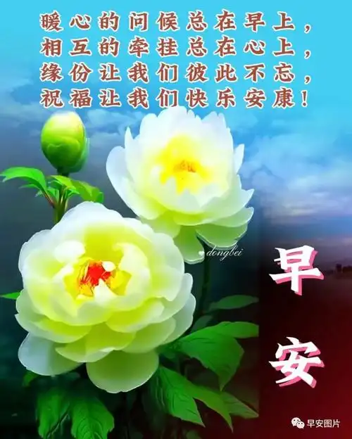 六最新早安问候祝福图片大全|快乐|清晨|思念|好运|早上好_网易订阅