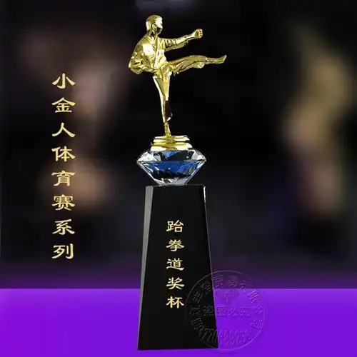 2021跆拳道空手道散打比赛水晶奖杯学校运动会赛事奖杯